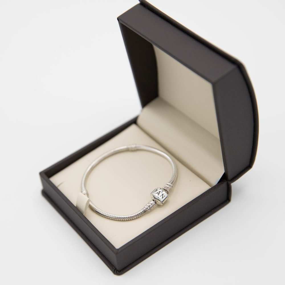 Pandora Moments Snake Bracelet